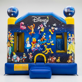 Disney Combo