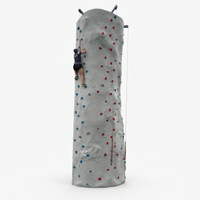 Rock Climbing Wall (24 ft)